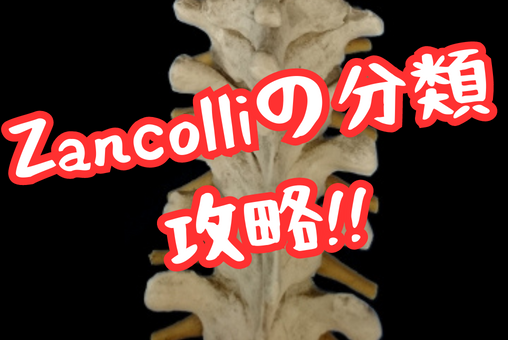 Zancolliの分類